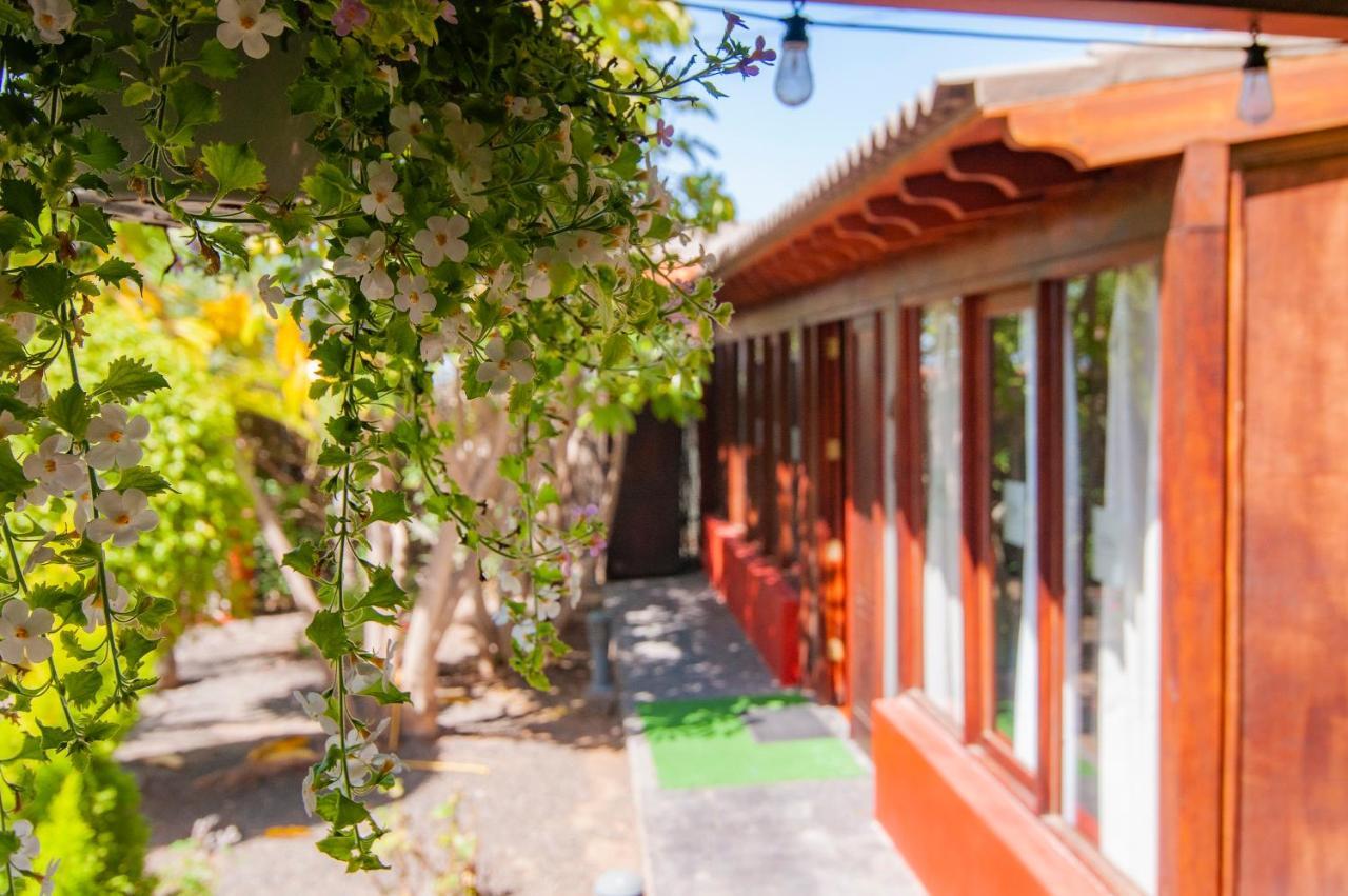 El Rincon Del Huroncillo Tejina Extérieur photo